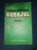 Barajul - FRANCISC MUNTEANU
