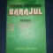 Barajul - FRANCISC MUNTEANU