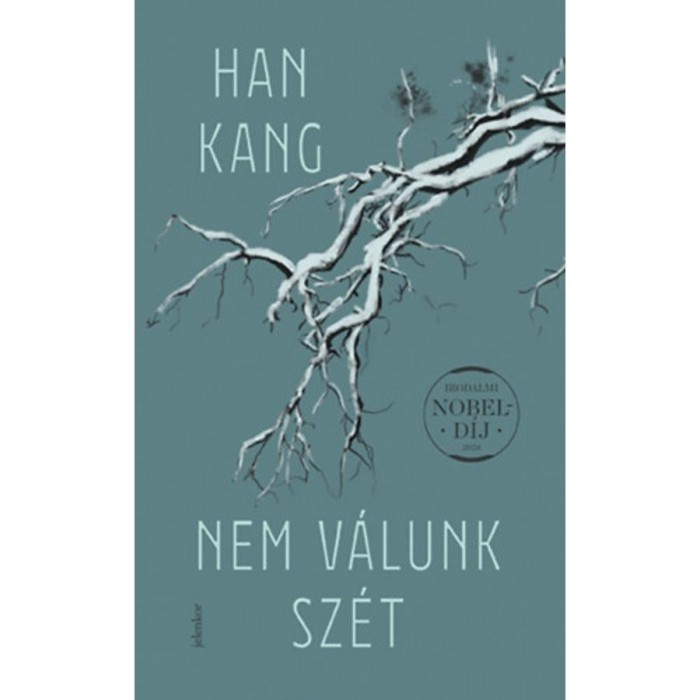 Nem v&aacute;lunk sz&eacute;t - Han Kang