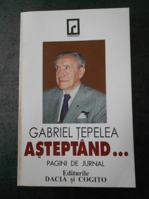 GABRIEL TEPELEA - ASTEPTAND ... PAGINI DIN JURNAL foto