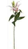 Floare artificiala Lily, 15x16x70 cm, poliester, alb/roz