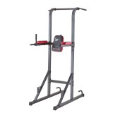 Aparat multifunctional Power Tower PT80 pentru tractiuni si dips