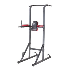 Aparat multifunctional Power Tower PT80, foto