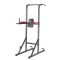 Aparat multifunctional Power Tower PT80,