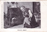 Bucuria pisicei (circulata 1900)