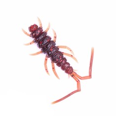 Naluca soft Perchik Stalker 1.6? 4cm 002 foto