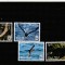 Niuafo&#039;ou 2016 - Fauna , WWF , Petrel negru , serie 4 valori , dantelate , MNH , Mi.607-610
