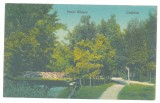 2305 - CRAIOVA, Bibescu Park, Romania - old postcard - unused, Necirculata, Printata