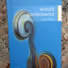 Witold Gombrowicz - Cosmos