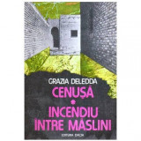 Grazia Deledda - Cenusa. Incendiu intre maslini - 108614