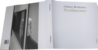 Adrian Bodnaru, Noriincotro foto