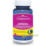 Chaga 60cps