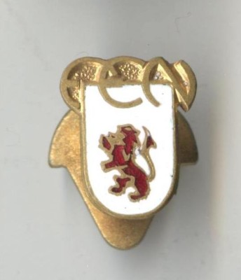Insigna Sport - BOX Federatia iNTERNATIONALA - Marea Britanie - ANGLIA - SUPERBA foto