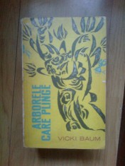 e2 VICKI BAUM - ARBORELE CARE PLANGE