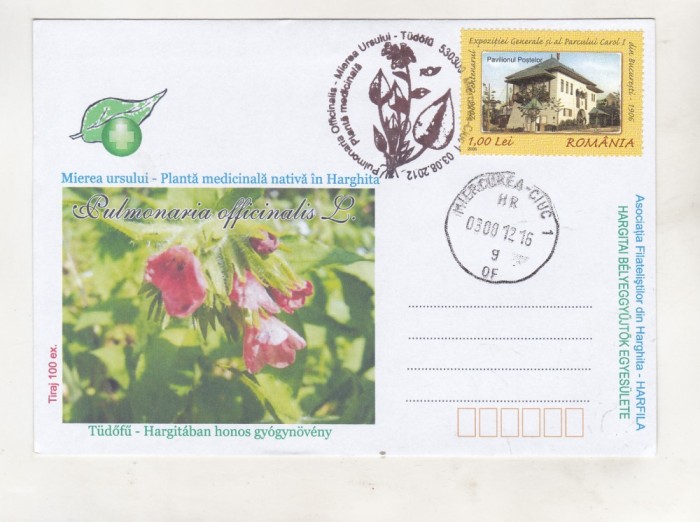 bnk fil Plic ocazional Mierea Ursului - Miercurea Ciuc 2012