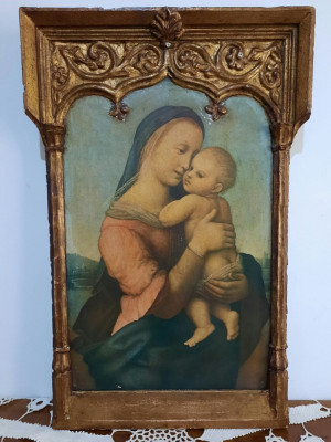 Ulei pe lemn, Madonna Tempi Raffaello Sanzio foto