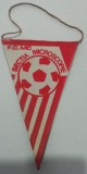 D9 SP 1 - Tematica sport - cluburi sportive - FC MC - Sectia Microscopie