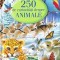 250 de curiozitati despre animale PlayLearn Toys