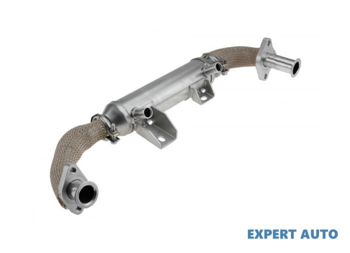 Radiator recirculare gaze Fiat Stilo (2001-2010) [192] #1