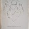 SURORILE BRONTE-ZOE DUMITRESCU-BUSULENGA-218701