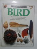 BIRD - WITNESS GUIDES