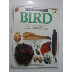 BIRD - WITNESS GUIDES