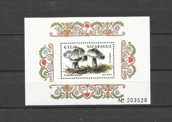 NICARAGUA 1998 CIUPERCI