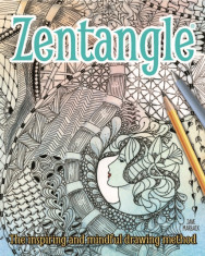 Zentangle: The Inspiring and Mindful Drawing Method foto
