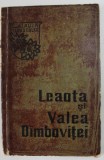 LEAOTA SI VALEA DAMBOVITEI de I. STEFANESCU