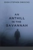 An Anthill In The Savannah