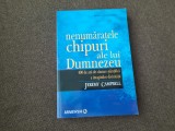 NENUMĂRATELE CHIPURI ALE LUI DUMNEZEU - JEREMY CAMPBELL, MINERVA 2008