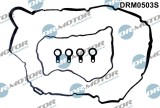 Set Garnituri, Capac Supape 244230 DRM0503S