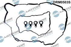 Set Garnituri, Capac Supape 244230 DRM0503S