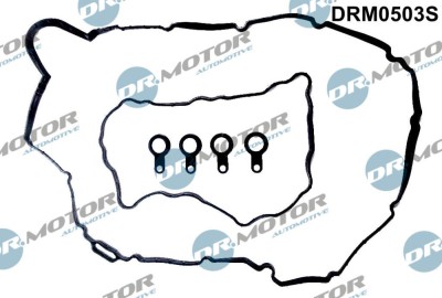Set Garnituri, Capac Supape 244230 DRM0503S foto