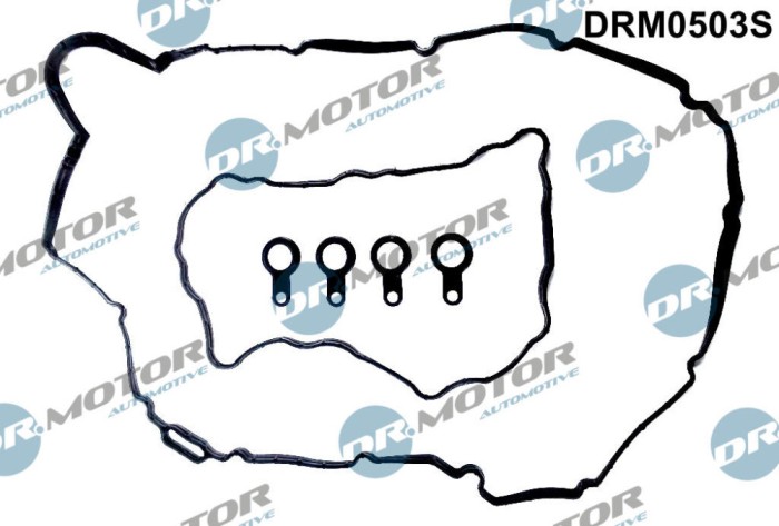 Set Garnituri, Capac Supape 244230 DRM0503S