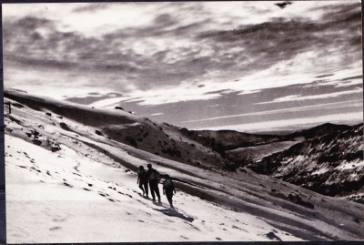 AMS - ILUSTRATA/VEDERE 864 MUNTII BUCEGI - SPRE COSTILA, NECIRCULATA foto