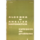 Algebra si analiza matematica. Culegere de probleme (volumul 2) - D. Flondor, Nicolae Donciu