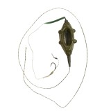 Arrow Int. Leadcore PB DBL Grippa Inline Soft rig Nr.6