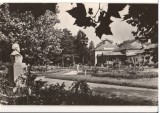 CPIB 15747 CARTE POSTALA - ORADEA, BAILE &quot;VICTORIA&quot;. VEDERE DIN PARC, RPR