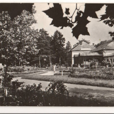 CPIB 15747 CARTE POSTALA - ORADEA, BAILE "VICTORIA". VEDERE DIN PARC, RPR