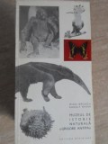 MUZEUL DE ISTORIE NATURALA GRIGORE ANTIPA-MIHAI BACESCU, RUDOLF MAYER-235640