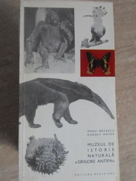 MUZEUL DE ISTORIE NATURALA GRIGORE ANTIPA-MIHAI BACESCU, RUDOLF MAYER-235640 foto