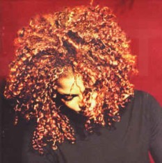 CD Janet &lrm;&ndash; The Velvet Rope (VG+)