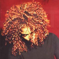 CD Janet ‎– The Velvet Rope (VG+)