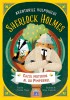 Aventurile Vulpoiului Sherlock Holmes: Cazul misterios al lui Pimpernel - Vol. 1, DPH