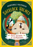 Aventurile Vulpoiului Sherlock Holmes: Cazul misterios al lui Pimpernel - Vol. 1, DPH