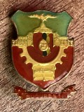 QW9 N10 1 - Insigna - tematica heraldica - comunism - Municipiul Bucuresti