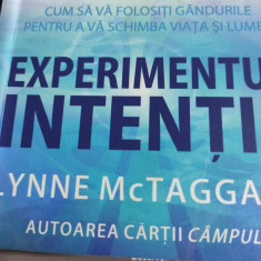 EXPERIMENTUL INTENTIE - LYNNE MC TAGGART, ED ADEVAR DIVIN,2010, 343 PAG |  arhiva Okazii.ro