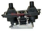 Bobina inductie VW PASSAT (3B2) (1996 - 2001) METZGER 0880134