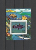 COMORES 1977 FAUNA MARINA PESTI